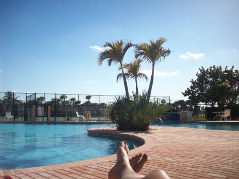 pool, Florida, palm tree, palm trees
