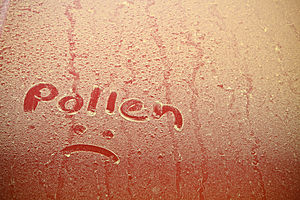 pollen sad face
