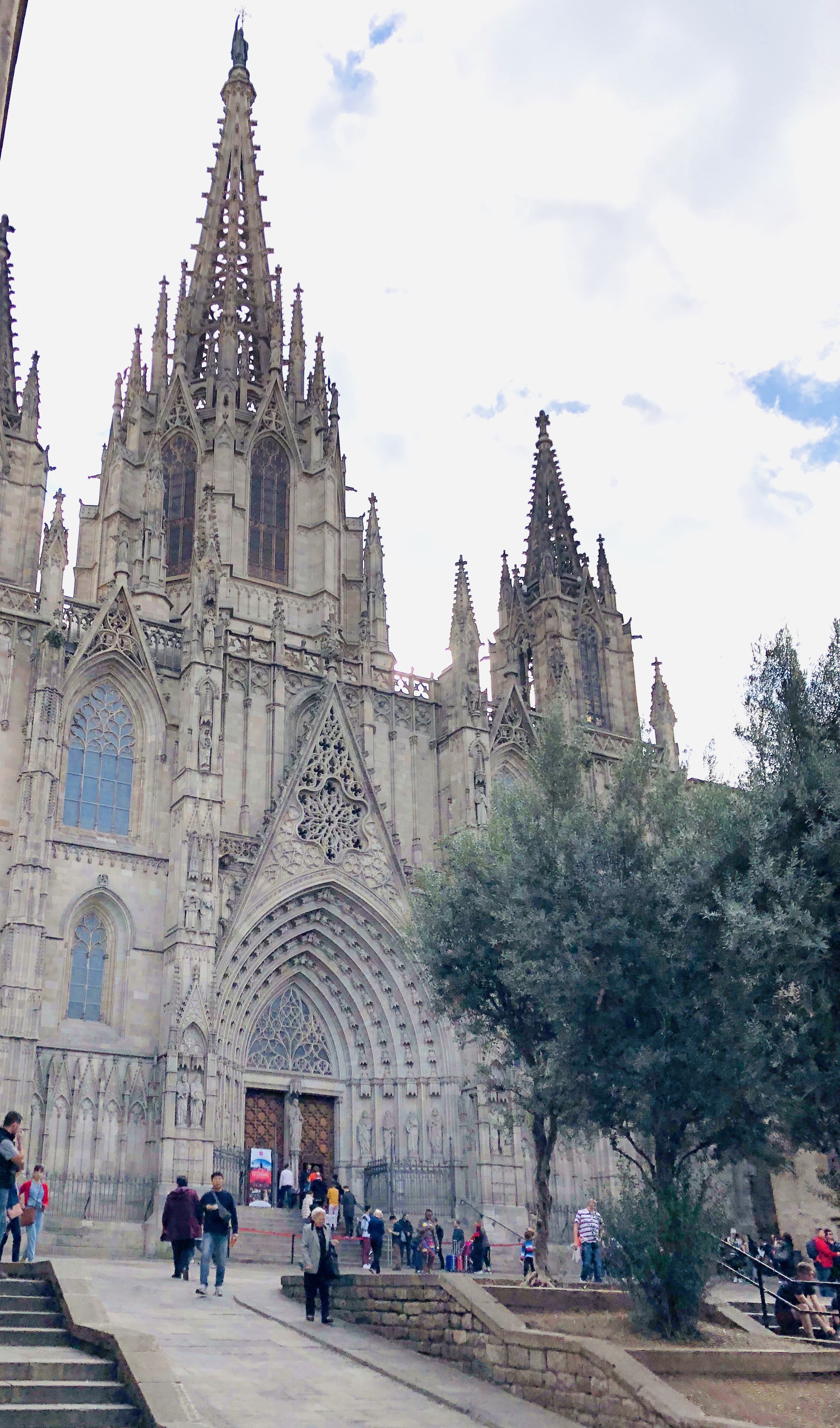 barcelona cathedral, barcelona spain, spain, barcelona